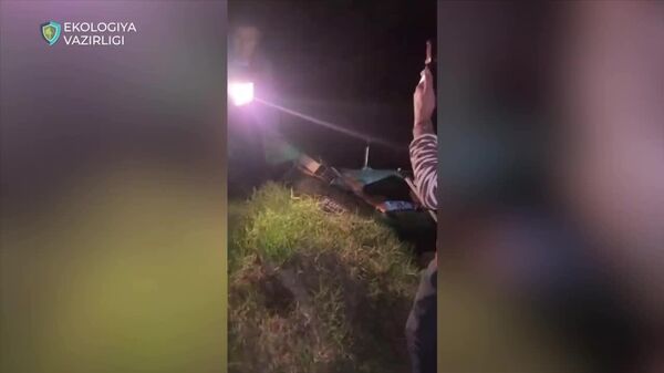 В Сырдарьинской области рыбаки незаконно наловили рыбу на 700 млн сумов - Sputnik Узбекистан