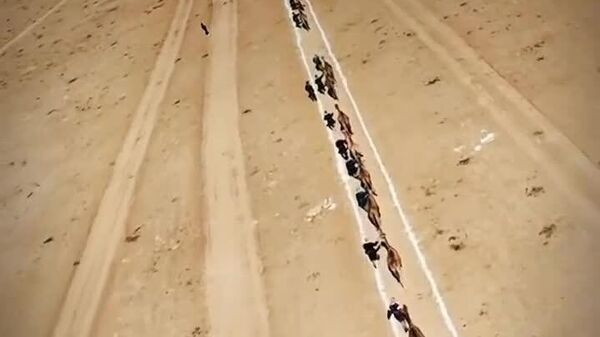 В Казахстане установили рекорд Гиннесса - Sputnik Узбекистан