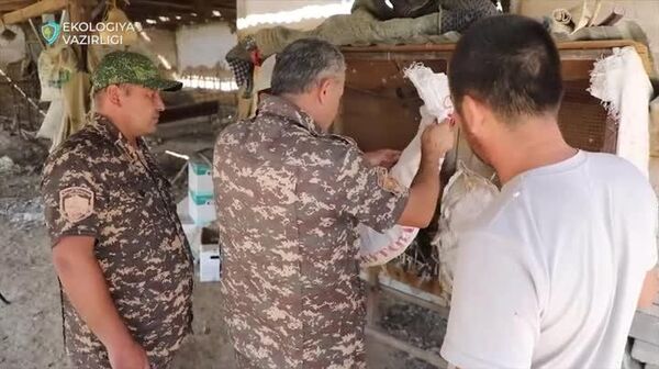 Житель Ташобласти незаконно содержал дома редких птиц - Sputnik Узбекистан