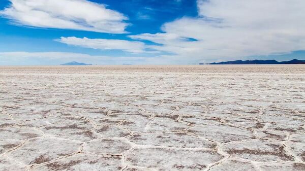 Засоление почв  - Sputnik Узбекистан