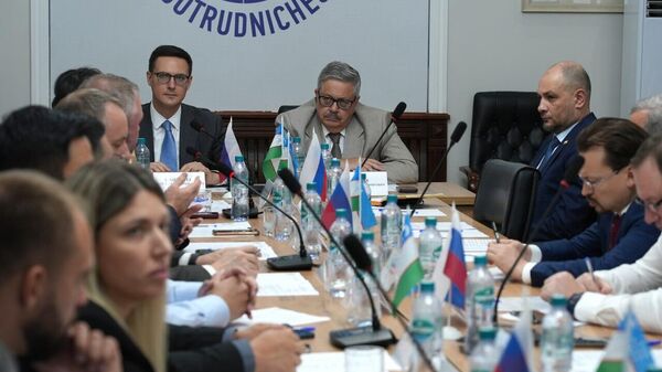 На площадке Русского Дома в Ташкенте прошло четвертое заседание Делового клуба при Торгпредстве РФ в Узбекистане - Sputnik Узбекистан