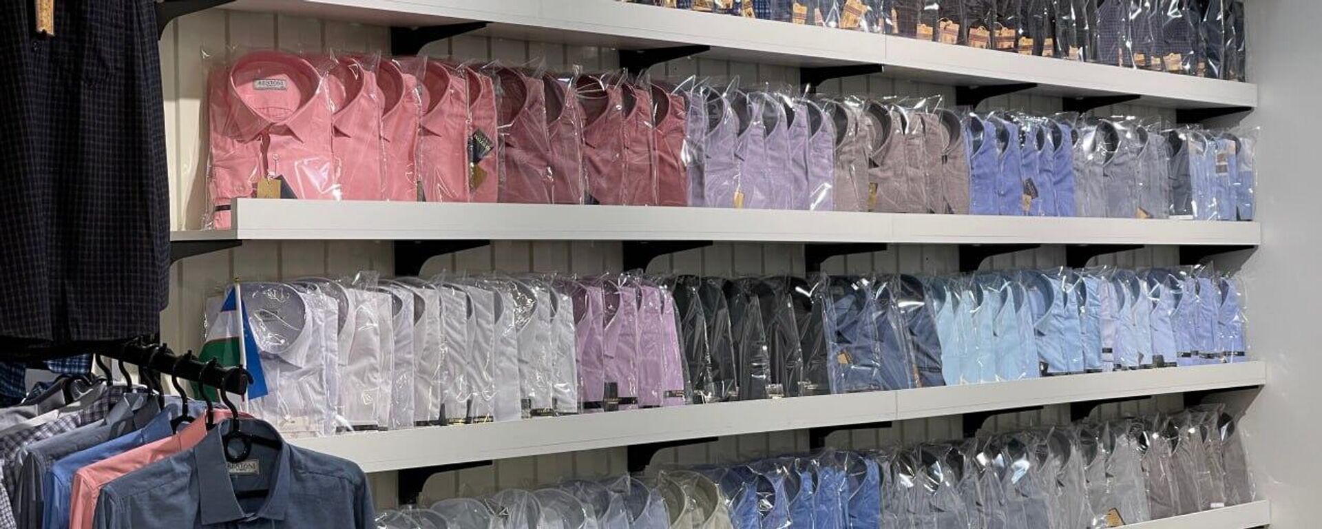 МИПТ предлагает склады и торговые площадки узбекским экспортерам в Москве МИПТ предлагает склады и торговые площадки узбекским экспортерам в Москве - Sputnik Узбекистан, 1920, 27.09.2025