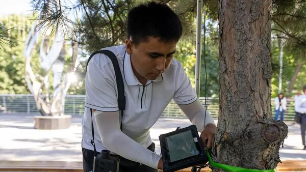 В электронную базу данных внесено более 400 тысяч деревьев Ташкента - Sputnik Узбекистан