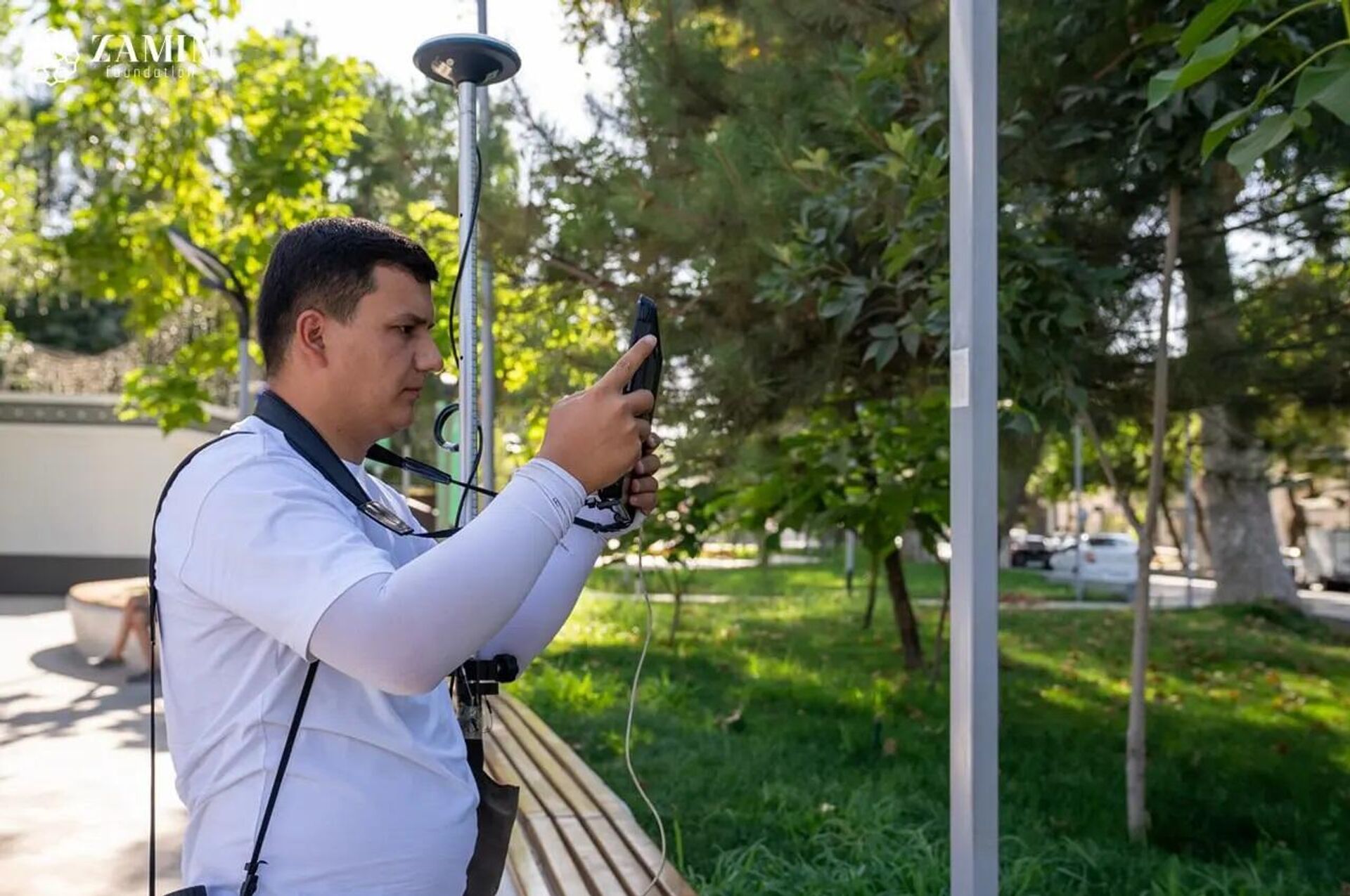 В электронную базу данных внесено более 400 тысяч деревьев Ташкента - Sputnik Узбекистан, 1920, 29.09.2025