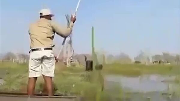 В Ботсване туристы потревожили семью слонов - Sputnik Узбекистан