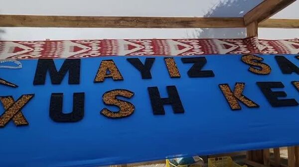 В Самаркандской области проходит фестиваль изюма - Sputnik Узбекистан