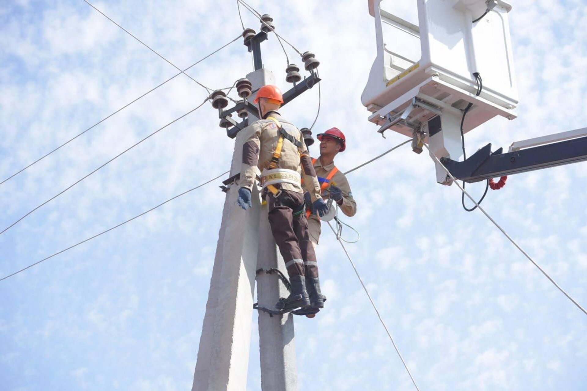 В Самарканде прошли международные соревнования профессионального мастерства электромонтеров.   - Sputnik Узбекистан, 1920, 04.10.2025