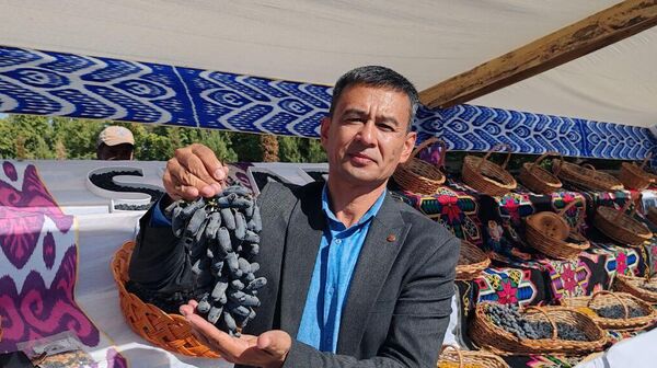 В Кошрабадском районе Самаркандской области состоялся первый фестиваль изюма. - Sputnik Узбекистан