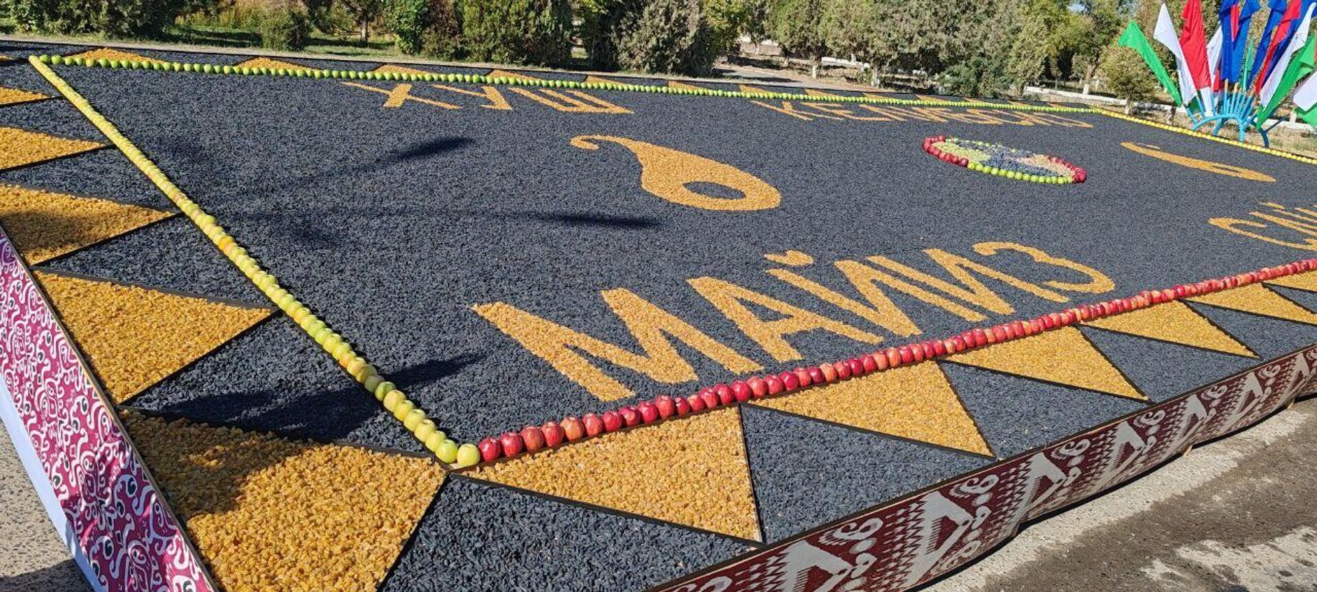 В Кошрабадском районе Самаркандской области состоялся первый фестиваль изюма. - Sputnik Узбекистан, 1920, 04.10.2025