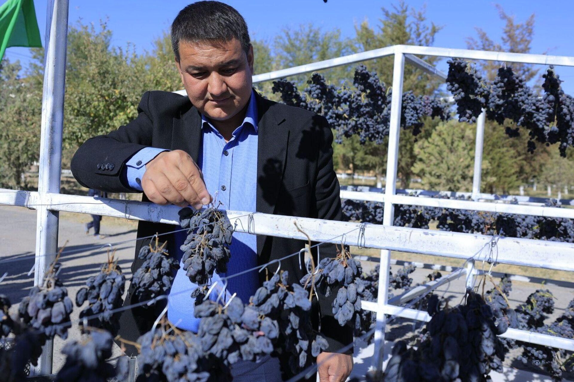 В Кошрабадском районе Самаркандской области состоялся первый фестиваль изюма. - Sputnik Узбекистан, 1920, 04.10.2025