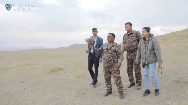 В Ташобласти выпустили на волю 8 краснокнижных соколов-балобанов - Sputnik Узбекистан