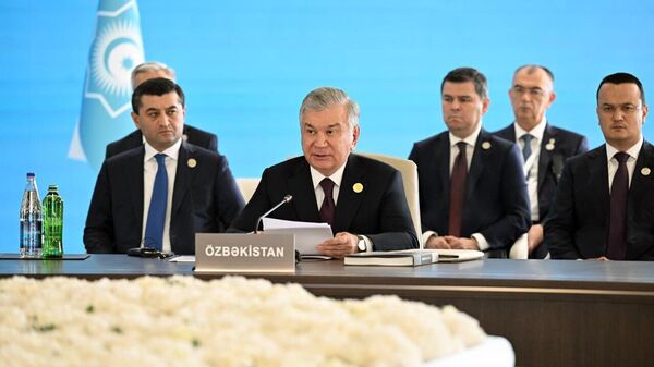 Президент Шавкат Мирзиёев предложил создать Постоянный совет по экономическому партнерству тюркских стран с проектным офисом в Ташкенте - Sputnik Узбекистан