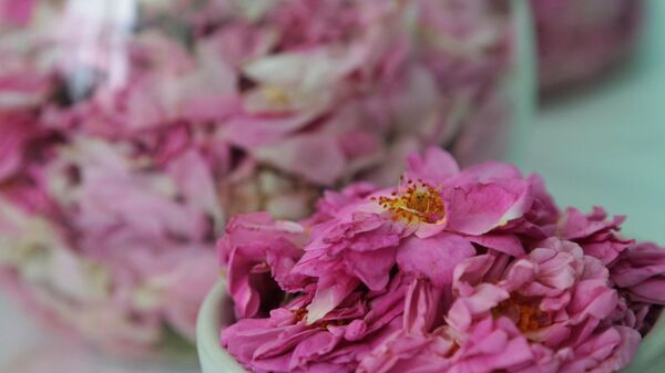 Производство косметики - Sputnik Узбекистан