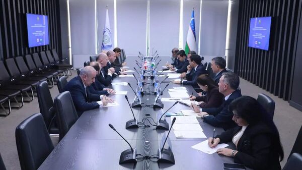 Узбекистан и Грузия планируют создать совместную образовательную программу по направлению виноградарства и виноделия - Sputnik Узбекистан