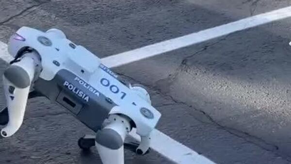 Полиция в Казахстане начала тестировать робопсов - Sputnik Узбекистан