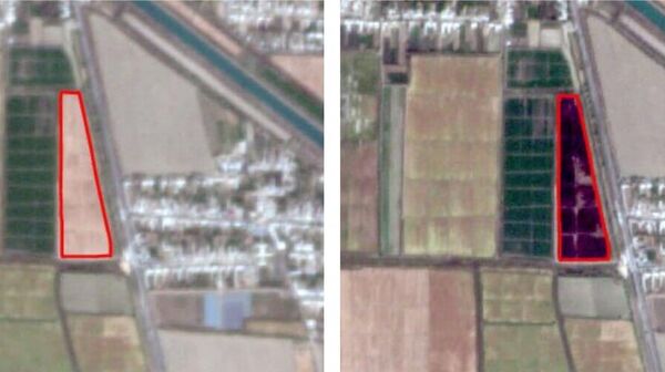 Узбеккосмос выявил около 40 случаев незаконного сжигания соломы на полях - Sputnik Узбекистан