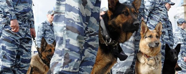 Служебные собаки кинологической службы Служебные собаки кинологической службы - Sputnik Узбекистан