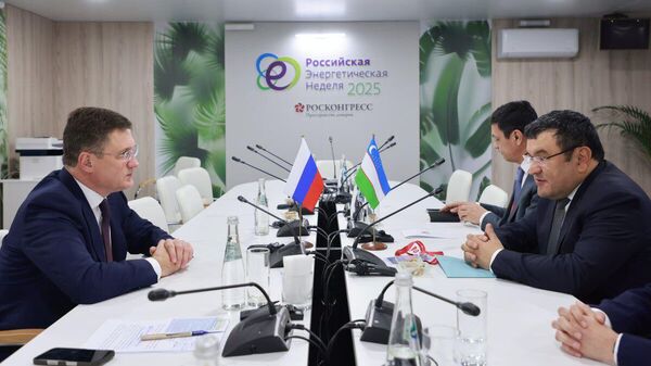 Министр энергетики провел встречу с Александром Новаком - Sputnik Ўзбекистон