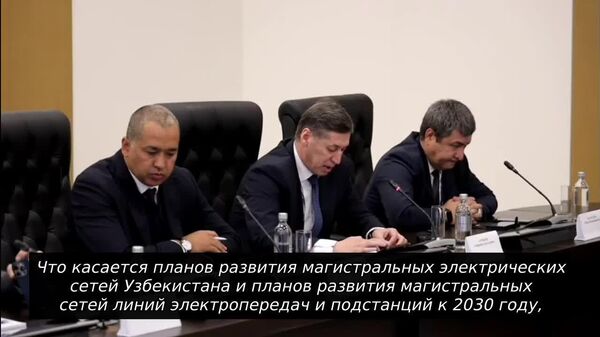 Узбекистан готов наращивать сотрудничество с РФ в подготовке кадров для сферы электроснабжения - Sputnik Узбекистан