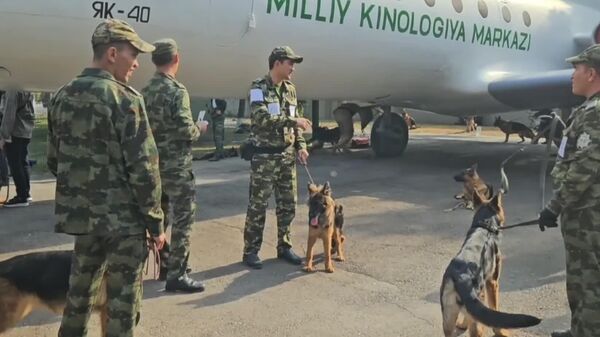 В Национальном кинологическом центре при Государственном таможенном комитете проходят выставки собак Dog Festival 2025 и Anor 2025 - Sputnik Узбекистан