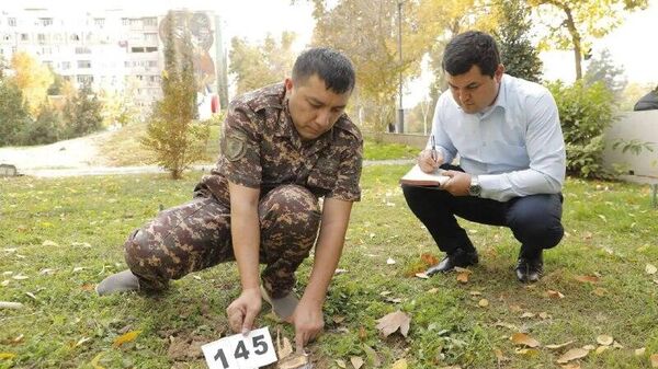 В Ташкенте на перекрестке улиц Нукус и Бобура вырубили 174 дерева и кустарника, сообщает Минэкологии - Sputnik Узбекистан