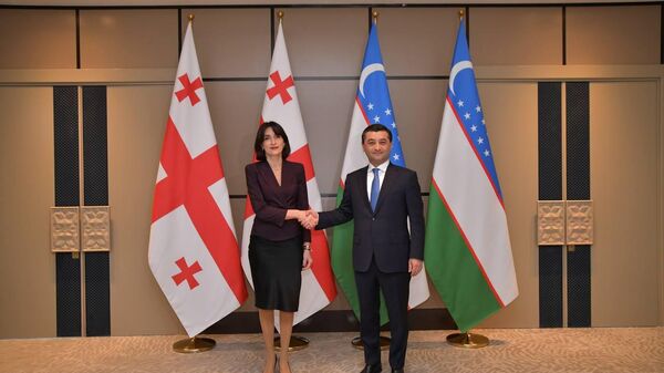 Главы МИД Узбекистана и Грузии провели встречу в Самарканде - Sputnik Ўзбекистон