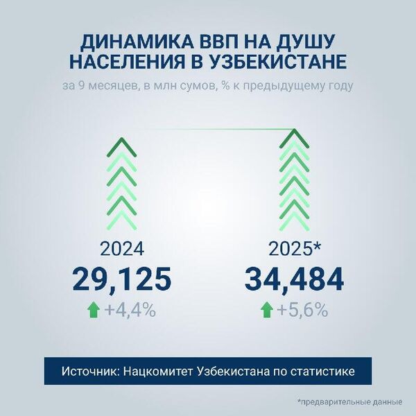 ВВП на душу населения в Узбекистане в 2025 году, по предварительным данным, составил 34,484 млн сумов - Sputnik Узбекистан