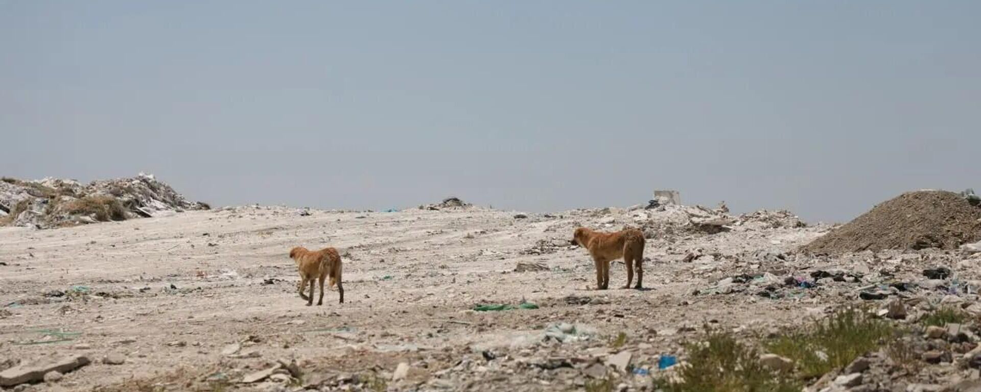 В Узбекистане прекращена деятельность 42 полигонов бытовых отходов, и земли возвращены природе
 - Sputnik Узбекистан, 1920, 31.10.2025