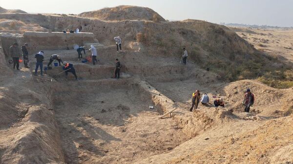 В ходе экспедиции в памятнике Канге был обнаружен храм и военная техника V-VIII веков.
 - Sputnik Узбекистан