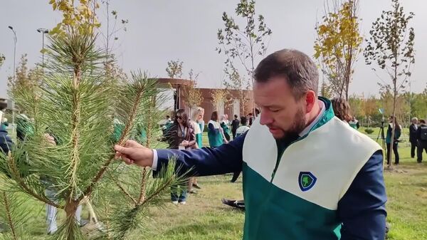 Посаженные деревья станут живым, растущим памятником ЮНЕСКО — Дмитрий Горшков - Sputnik Узбекистан
