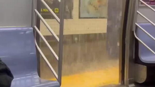 Проливной дождь в Нью-Йорке побил рекорды по количеству осадков за сутки в данном городе и окрестностях - Sputnik Узбекистан