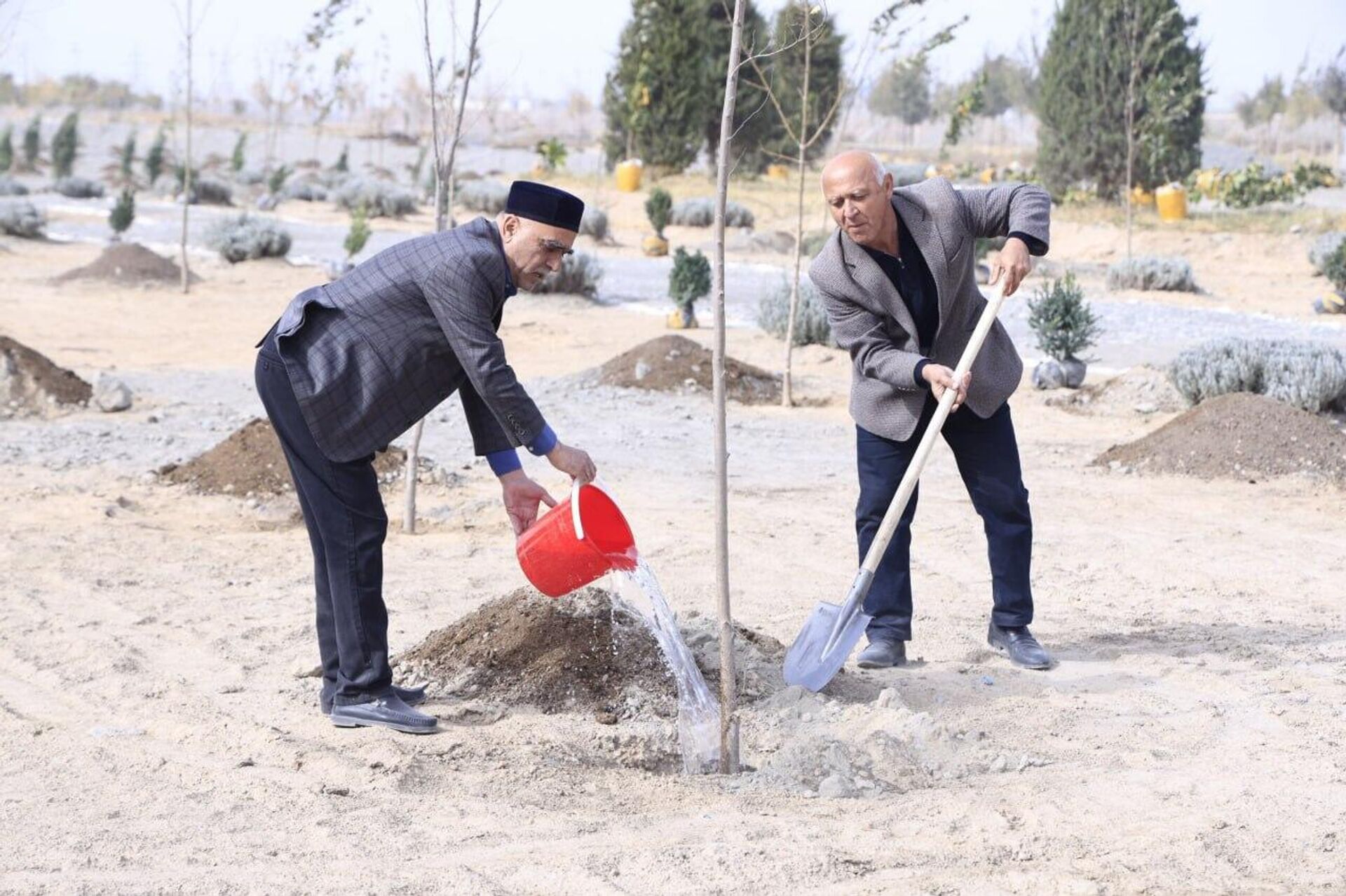 В рамках мероприятий 43-й сессии Генконференции ЮНЕСКО в Самарканде создан зеленый парк — миниатюрная версия знаменитых садов Амира Темура. В рамках мероприятий 43-й сессии Генконференции ЮНЕСКО в Самарканде создан зеленый парк — миниатюрная версия знаменитых садов Амира Темура. - Sputnik Узбекистан, 1920, 01.11.2025