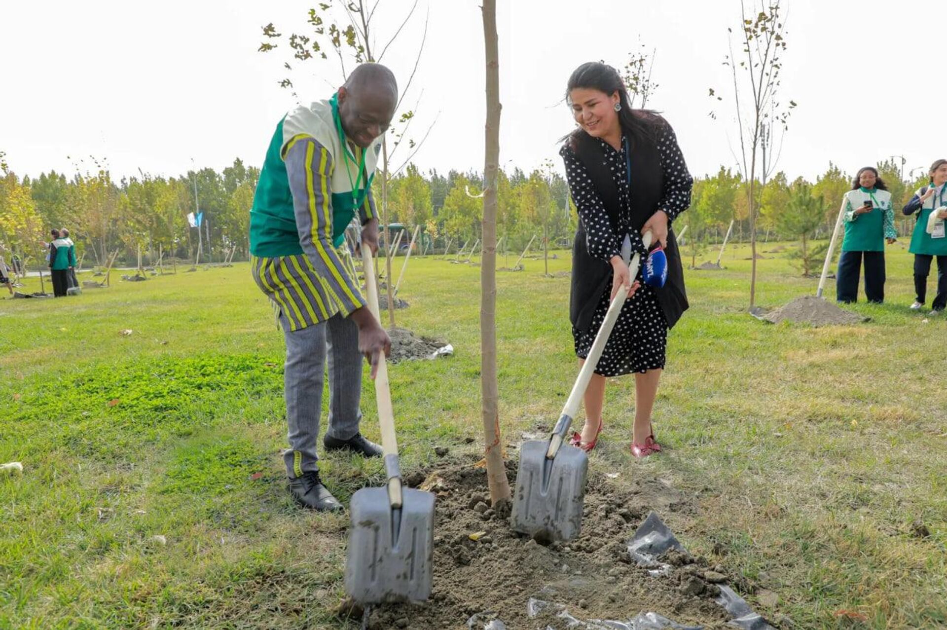 В рамках мероприятий 43-й сессии Генконференции ЮНЕСКО в Самарканде создан зеленый парк. В рамках мероприятий 43-й сессии Генконференции ЮНЕСКО в Самарканде создан зеленый парк. - Sputnik Узбекистан, 1920, 01.11.2025