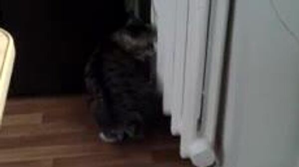 В Ташкенте отопительный сезон начнется с 3 ноября - Sputnik Узбекистан