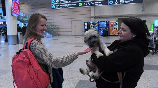 Акция Подготовь друга к полету - Sputnik Узбекистан