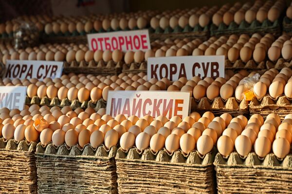 Выбор есть всегда - Sputnik Узбекистан