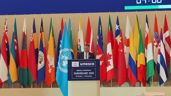 Попытки украинизации дискуссий отвлекают внимание от реальных гуманитарных вызовов - Панкин - Sputnik Узбекистан