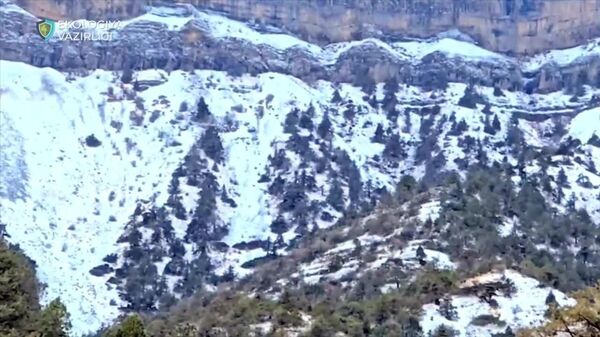 В горные районы Узбекистана пришла зима - Sputnik Узбекистан