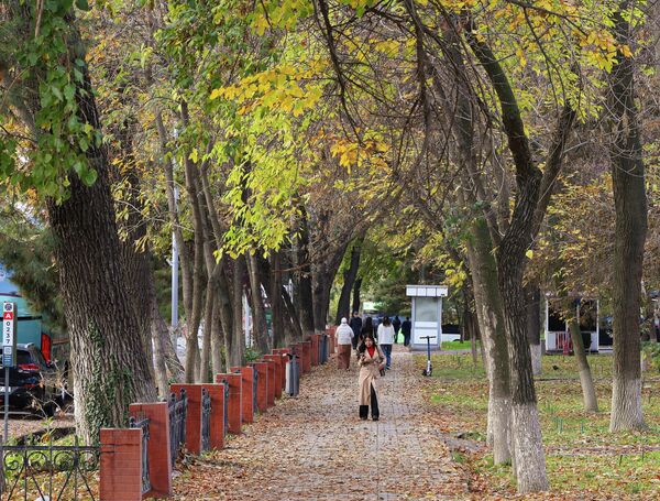 Осень в Ташкенте — время мягкого света и тихих прогулок. Осень в Ташкенте — время мягкого света и тихих прогулок. - Sputnik Узбекистан