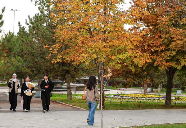 Осень в Ташкенте — время мягкого света и тихих прогулок. Осень в Ташкенте — время мягкого света и тихих прогулок. - Sputnik Узбекистан