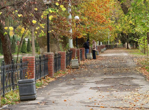 Осень в Ташкенте — город дышит спокойствием Осень в Ташкенте — город дышит спокойствием - Sputnik Узбекистан