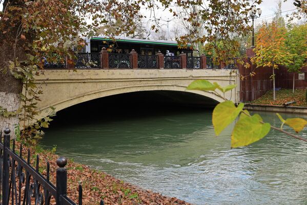 Осень в Ташкенте — время мягкого света и тихих прогулок. Осень в Ташкенте — время мягкого света и тихих прогулок. - Sputnik Узбекистан