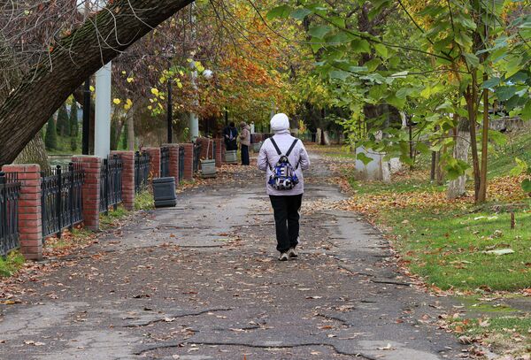 Осень в Ташкенте — время мягкого света и тихих прогулок. Осень в Ташкенте — время мягкого света и тихих прогулок. - Sputnik Узбекистан