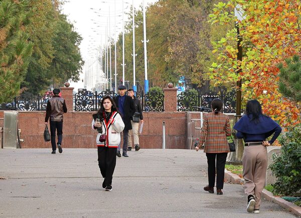 Осень в Ташкенте — время мягкого света и тихих прогулок. Осень в Ташкенте — время мягкого света и тихих прогулок. - Sputnik Узбекистан