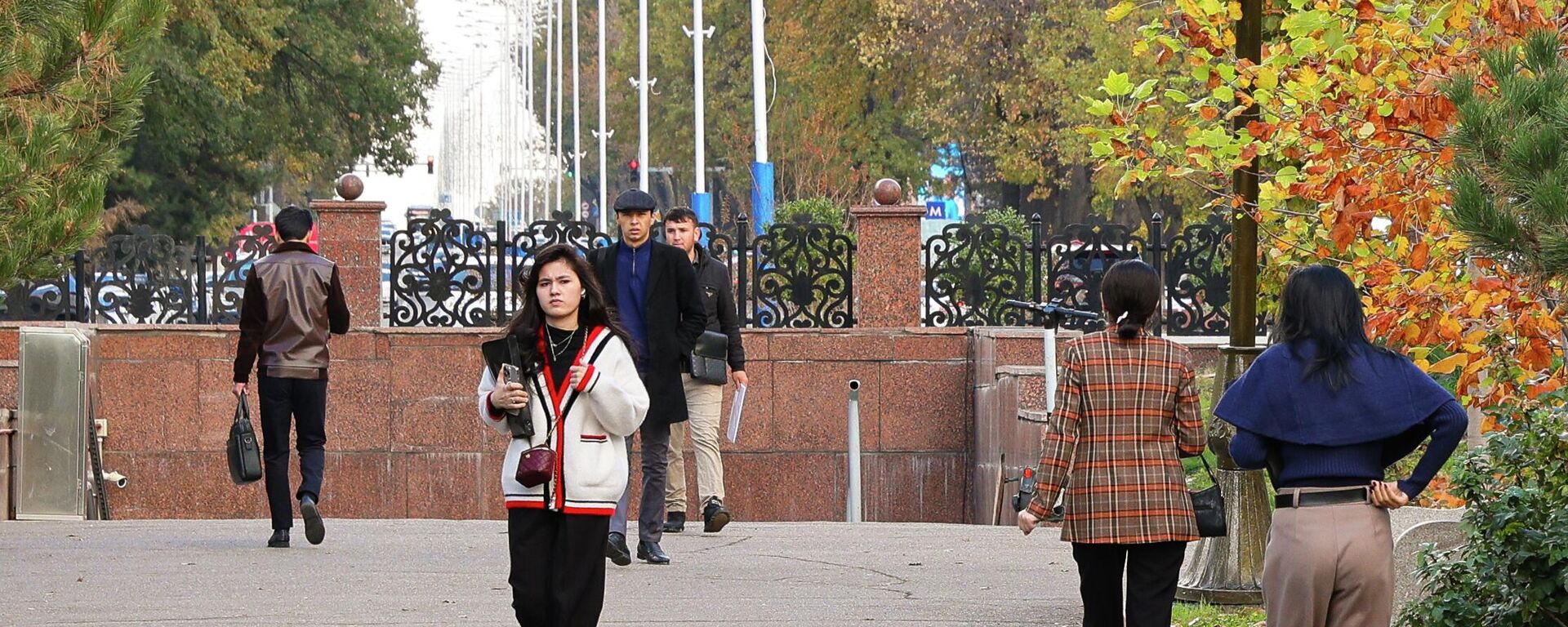 Осень в Ташкенте — время мягкого света и тихих прогулок. - Sputnik Узбекистан, 1920, 24.01.2026