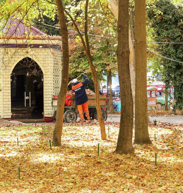 Осень в Ташкенте — время мягкого света и тихих прогулок. Осень в Ташкенте — время мягкого света и тихих прогулок. - Sputnik Узбекистан