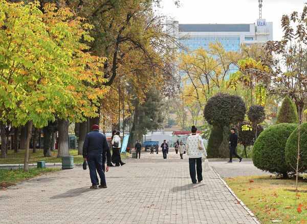 Природа, город и люди звучат в унисон — в мягких красках осени Природа, город и люди звучат в унисон — в мягких красках осени - Sputnik Узбекистан