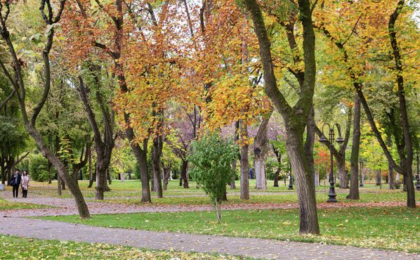 Осень в Ташкенте — время мягкого света и тихих прогулок. Осень в Ташкенте — время мягкого света и тихих прогулок. - Sputnik Узбекистан