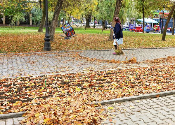 Осень в Ташкенте — время мягкого света и тихих прогулок. Осень в Ташкенте — время мягкого света и тихих прогулок. - Sputnik Узбекистан