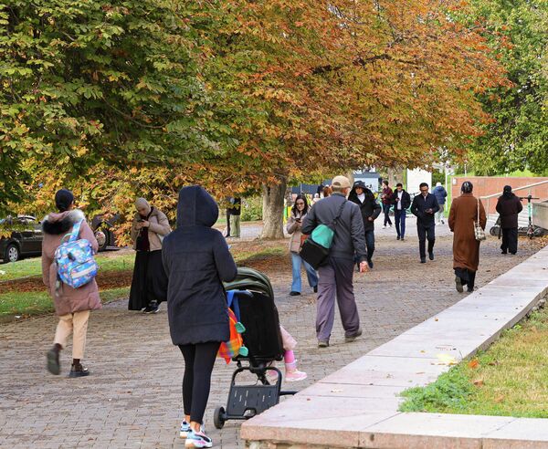 Длинная аллея, устланная листьями, наполнена мягким светом и тишиной Длинная аллея, устланная листьями, наполнена мягким светом и тишиной - Sputnik Узбекистан